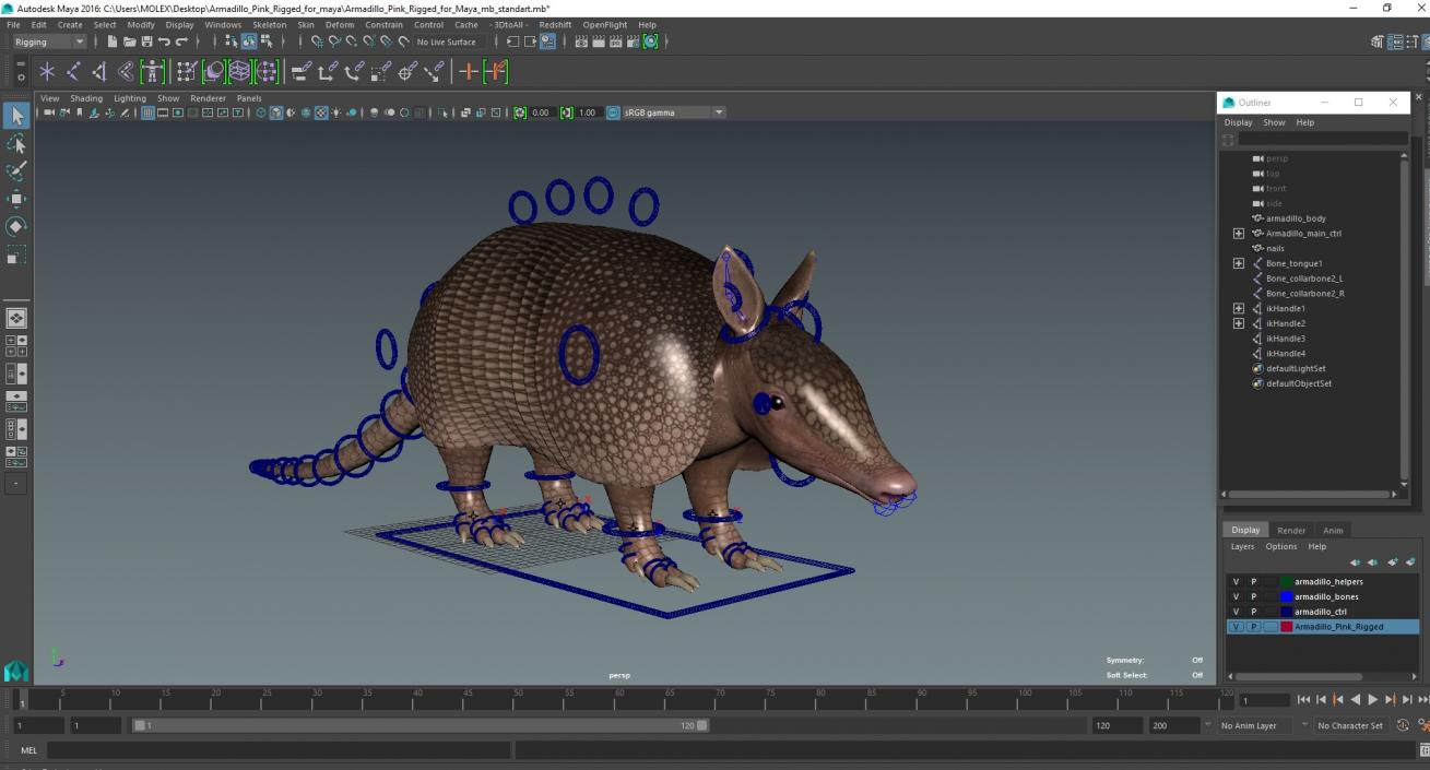 3D model Armadillo Pink Rigged for Maya