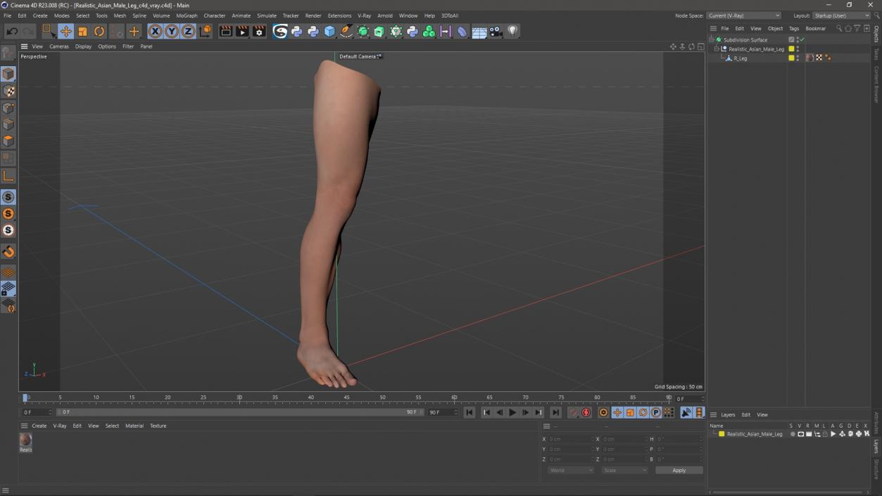 Realistic Asian Male Leg 3D model