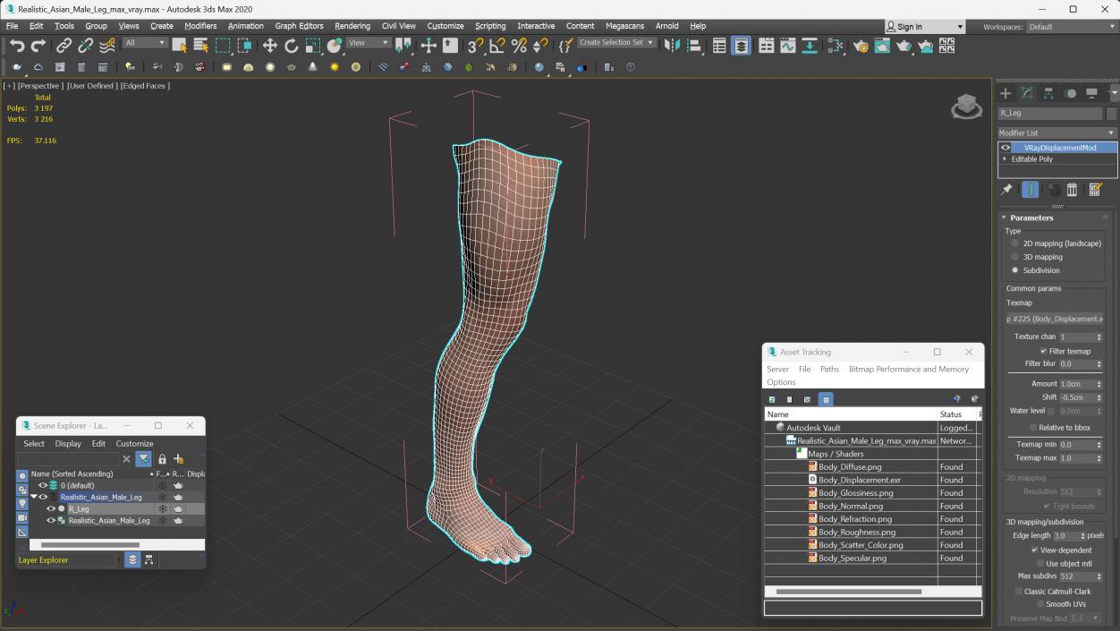 Realistic Asian Male Leg 3D model