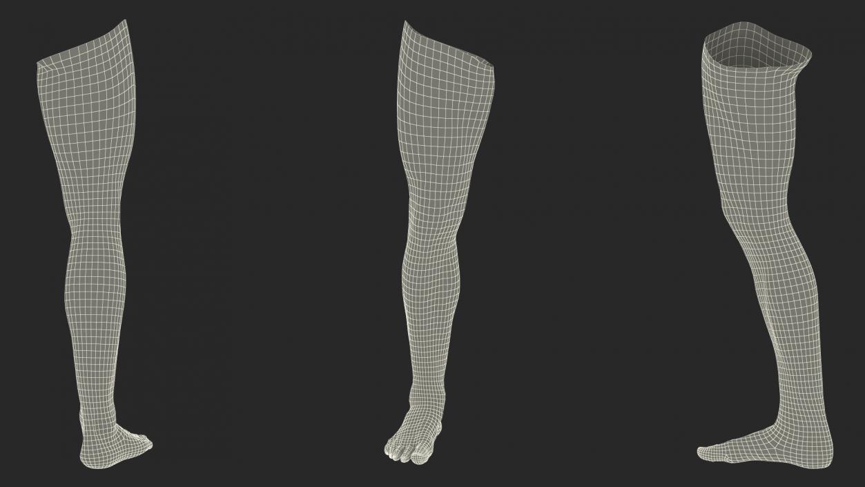 Realistic Asian Male Leg 3D model