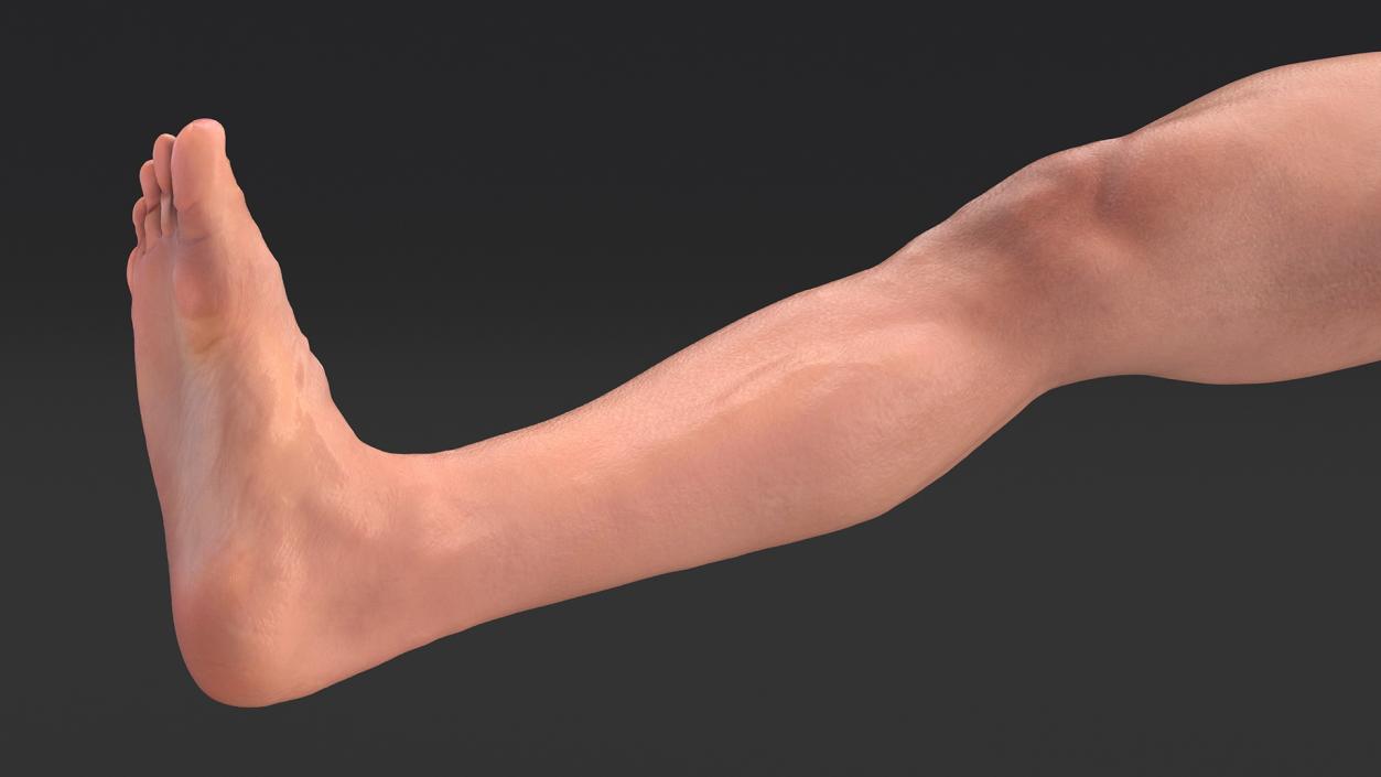 Realistic Asian Male Leg 3D model