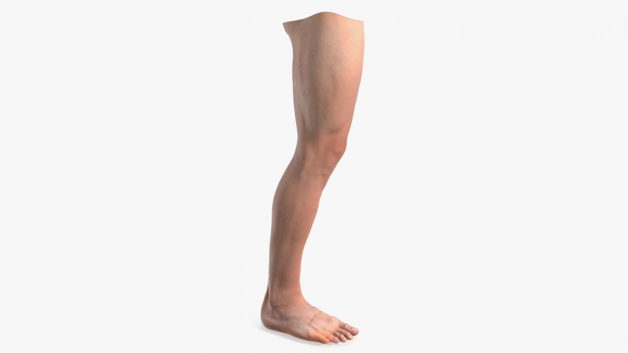 Realistic Asian Male Leg 3D model