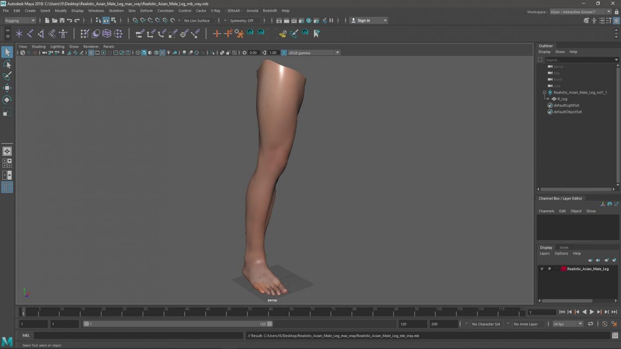 Realistic Asian Male Leg 3D model