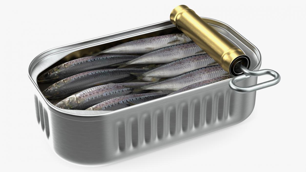 3D Canned Sardine Opened with Twist Key