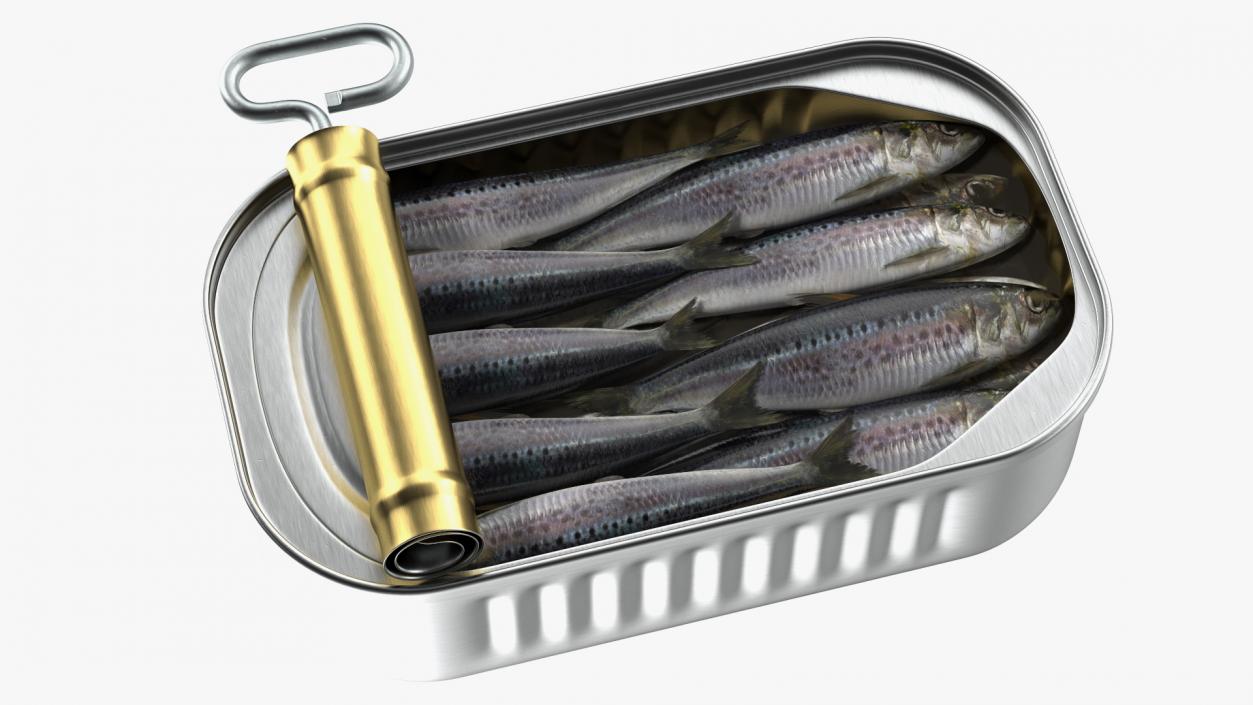 3D Canned Sardine Opened with Twist Key