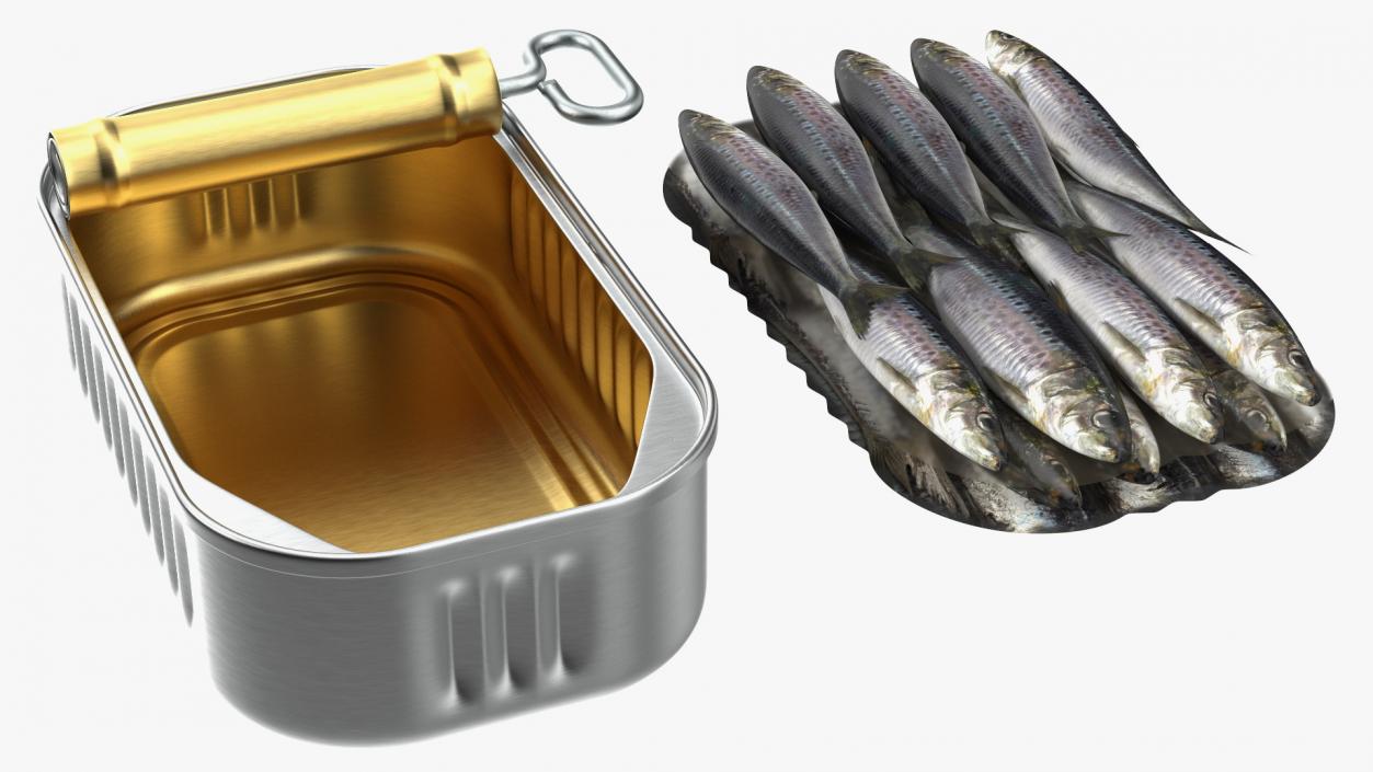 3D Canned Sardine Opened with Twist Key