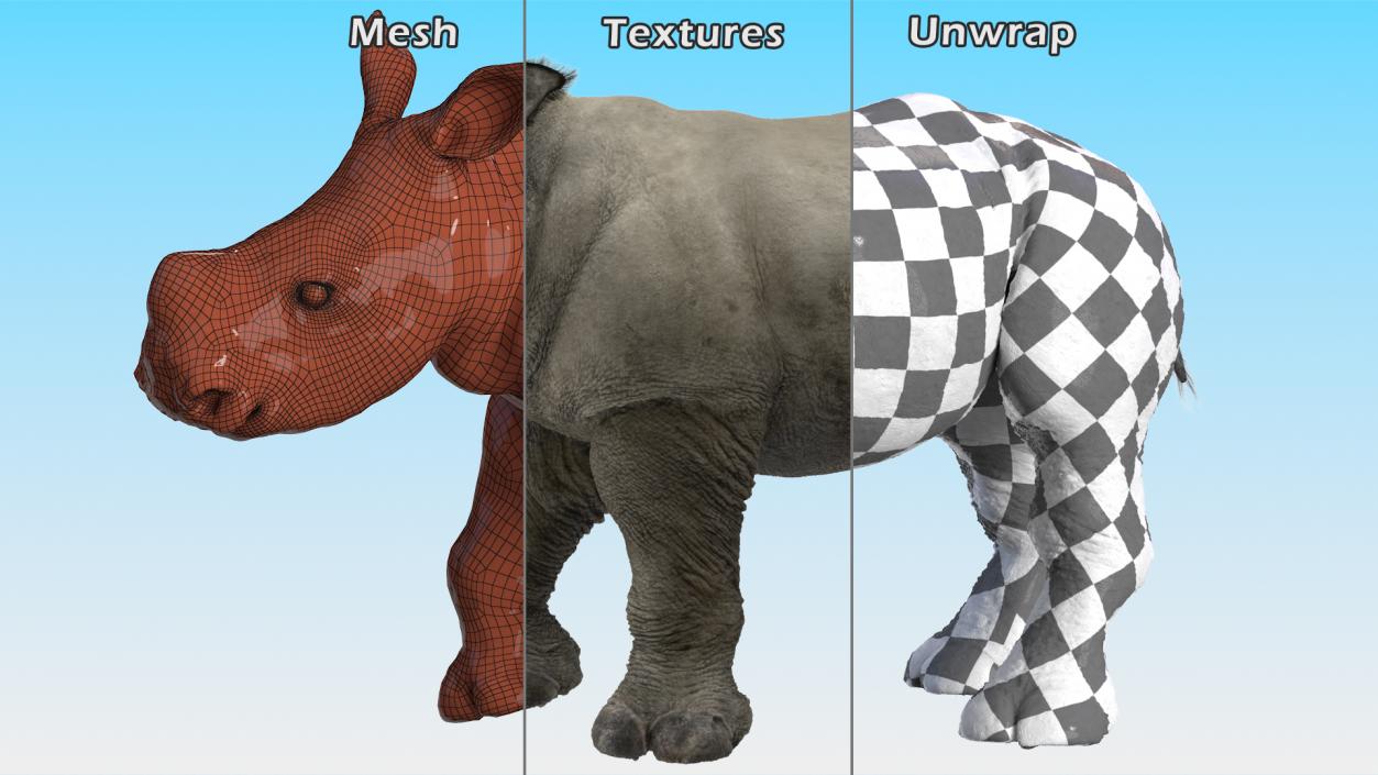 3D Rhinos with Fur Collection