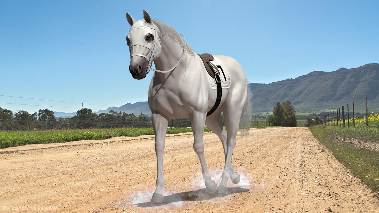 3D White Racehorse Fur Rigged