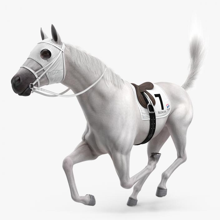 3D White Racehorse Fur Rigged