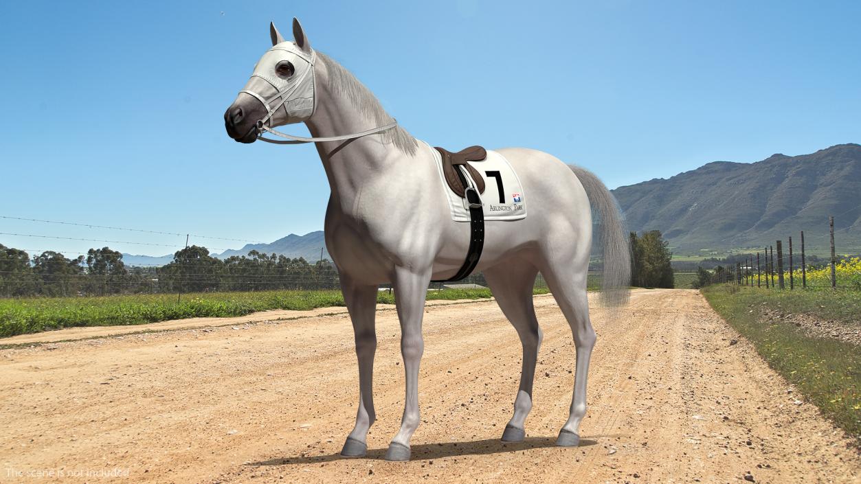 3D White Racehorse Fur Rigged