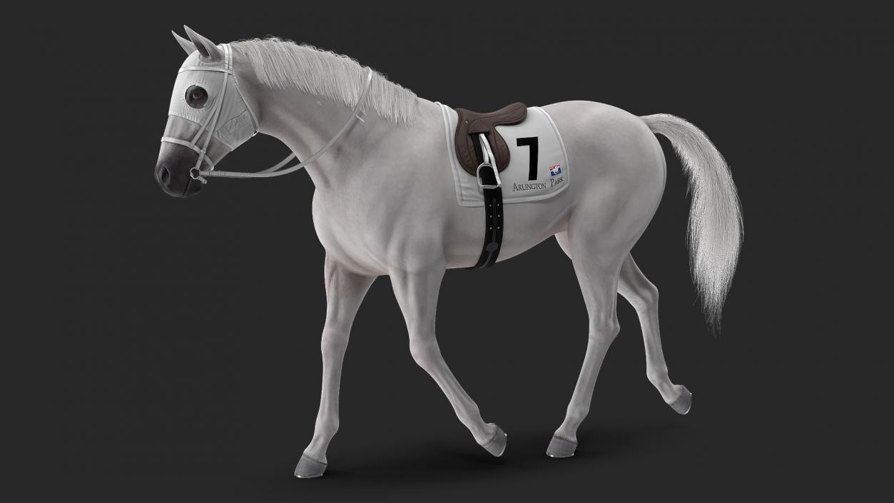 3D White Racehorse Fur Rigged