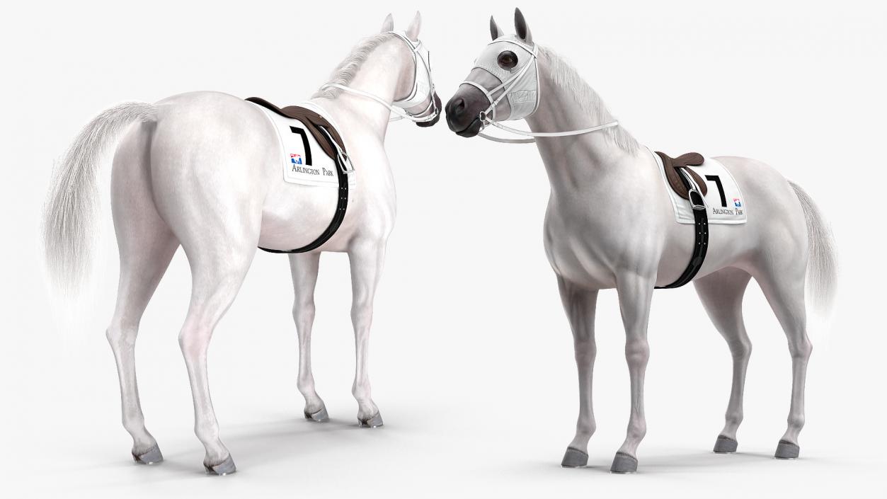 3D White Racehorse Fur Rigged