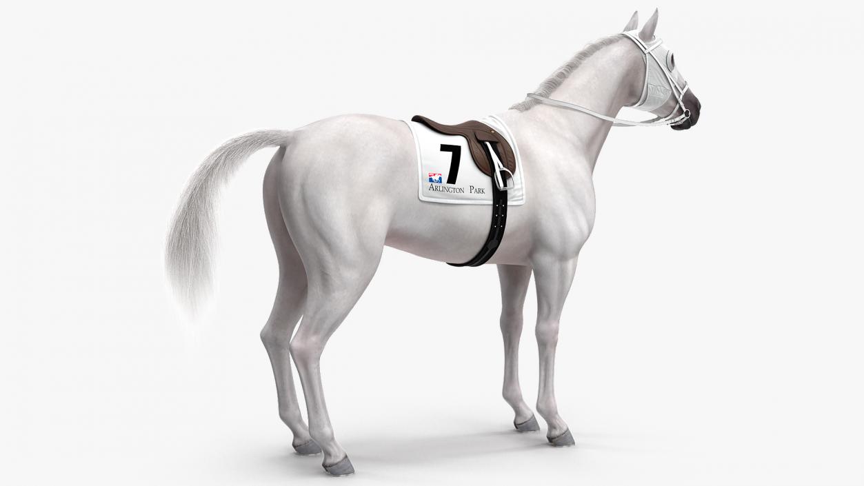 3D White Racehorse Fur Rigged