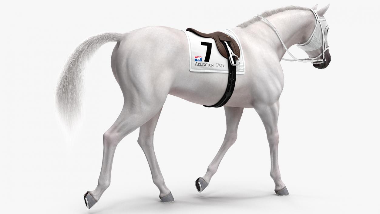 3D White Racehorse Fur Rigged