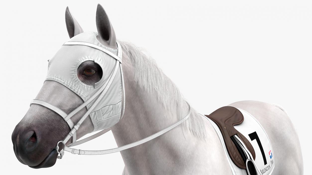 3D White Racehorse Fur Rigged