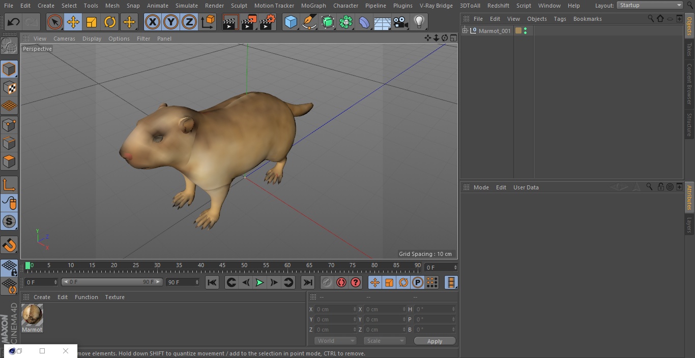 3D model Marmot