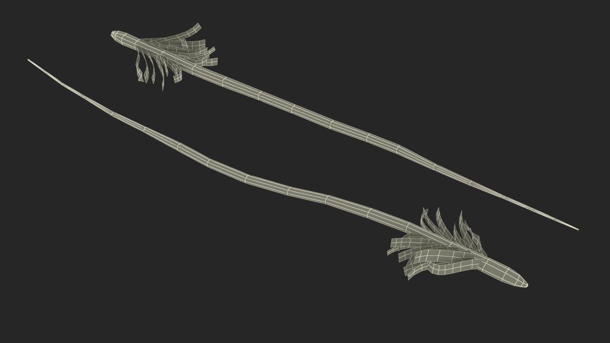 Feather Base 3D