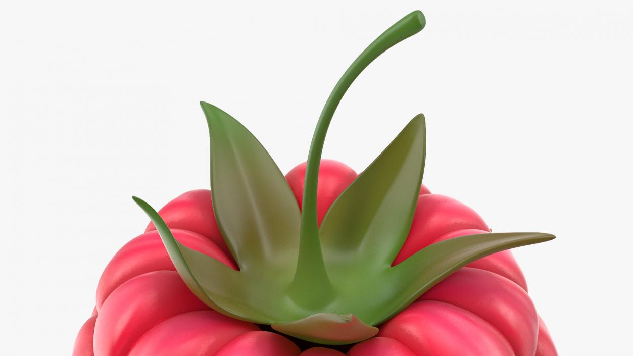 3D Fresh Cartoon Raspberry model