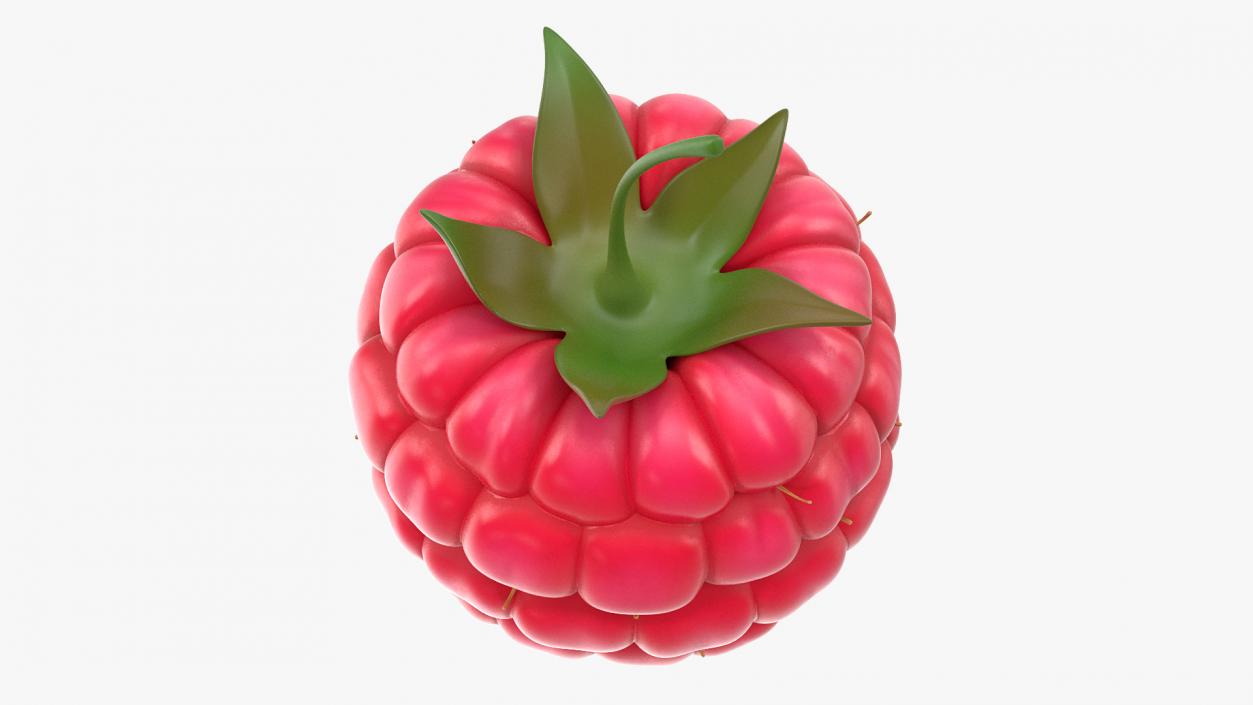 3D Fresh Cartoon Raspberry model