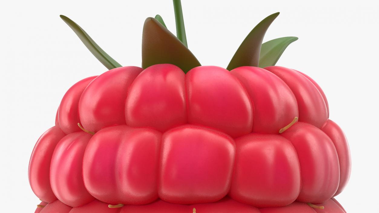 3D Fresh Cartoon Raspberry model