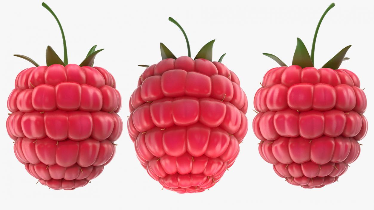 3D Fresh Cartoon Raspberry model