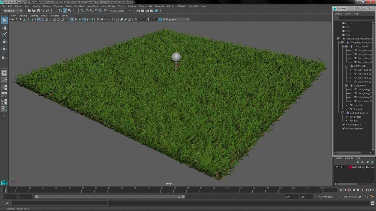 Golf Ball on Lawn 3D