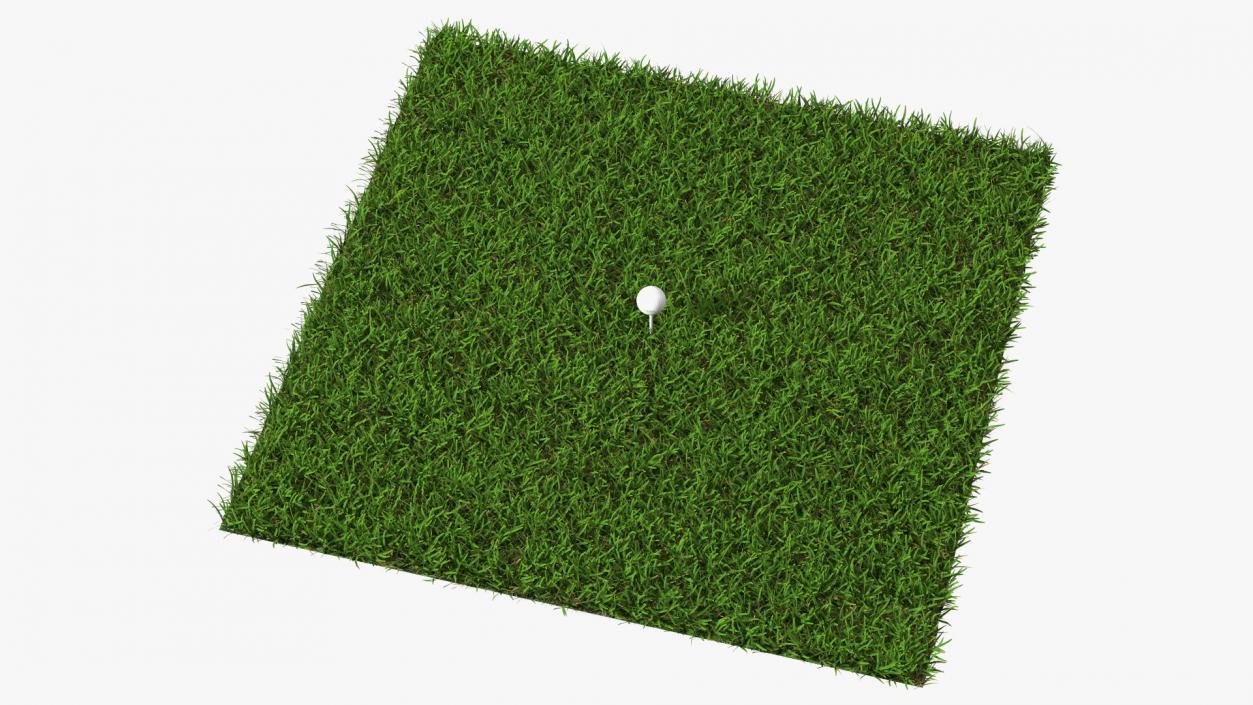 Golf Ball on Lawn 3D