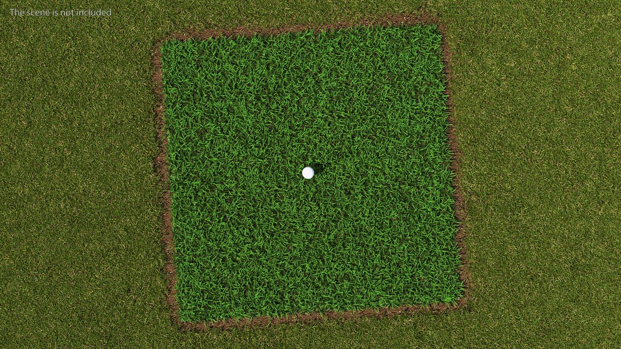 Golf Ball on Lawn 3D