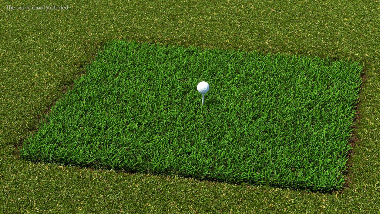 Golf Ball on Lawn 3D