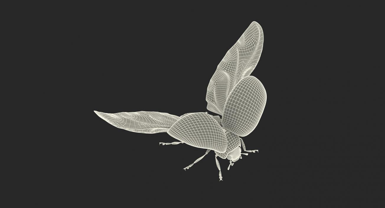 Flying Insects Collection 5 3D