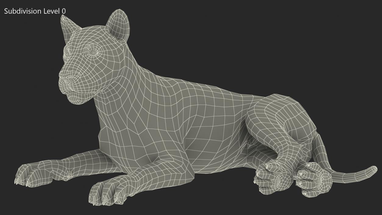 3D Young Lion Lying Pose