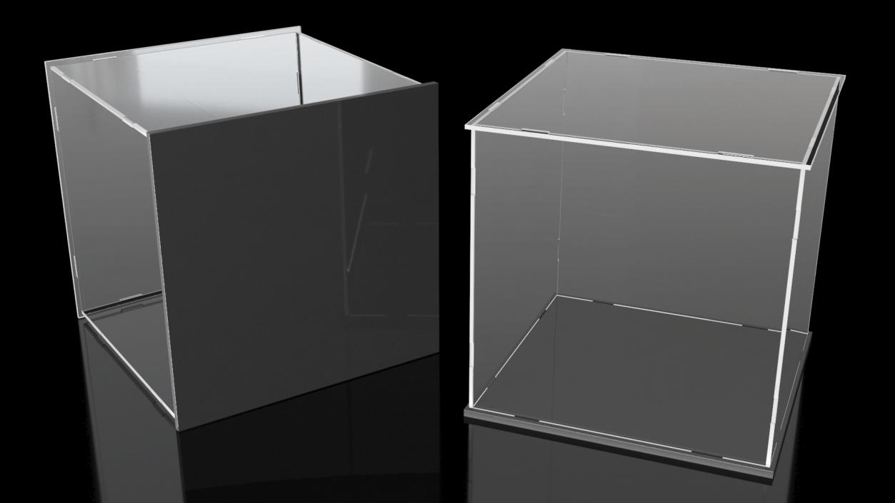 Display Case for Collectibles 3D model