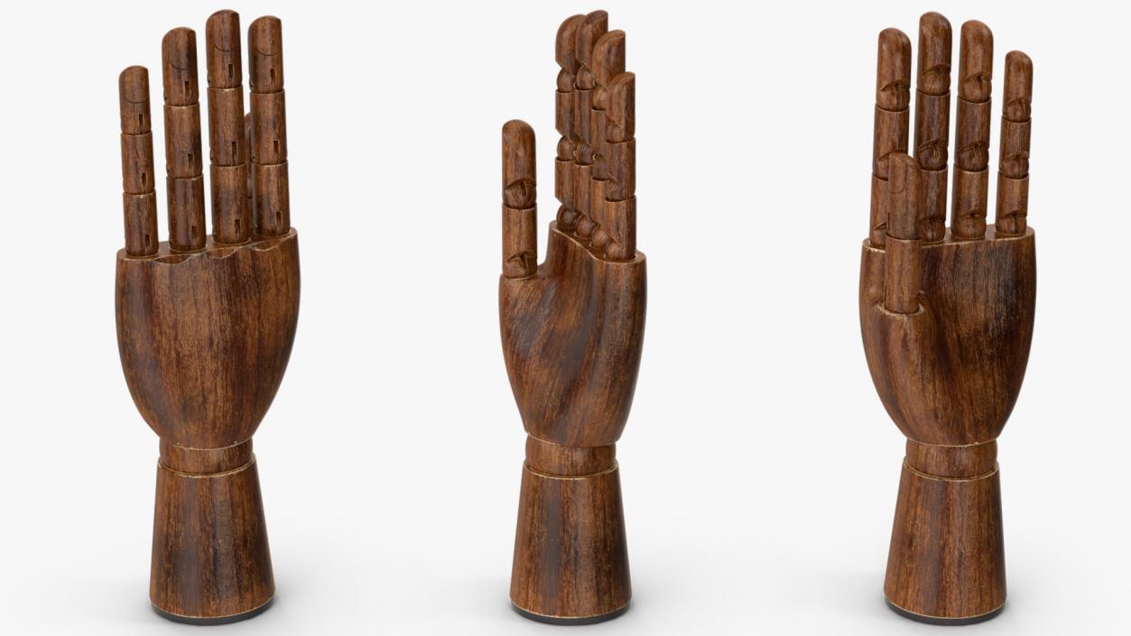 3D model Dark Wood Hand Rigged for Modo