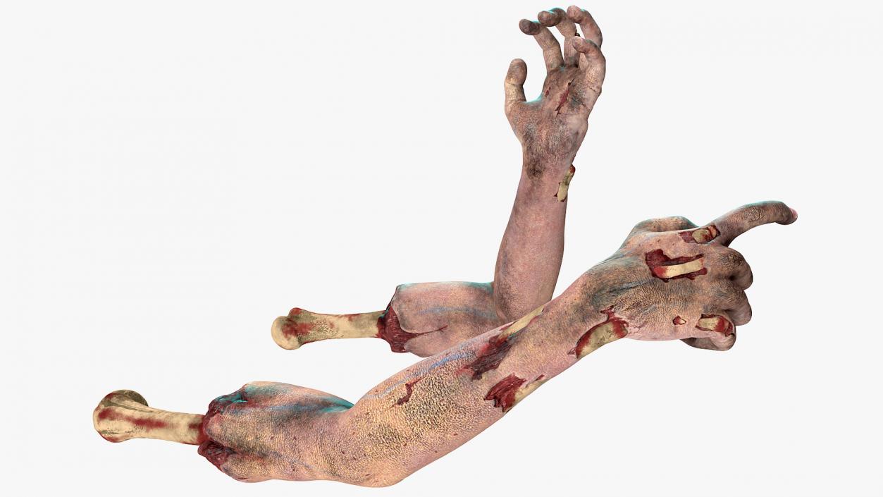 3D model Bloody Zombie Arms Rigged