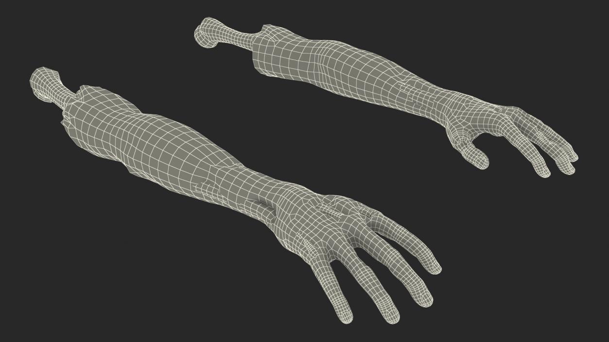 3D model Bloody Zombie Arms Rigged