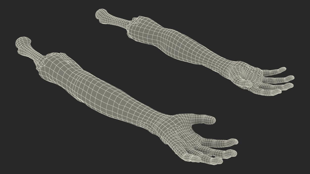 3D model Bloody Zombie Arms Rigged