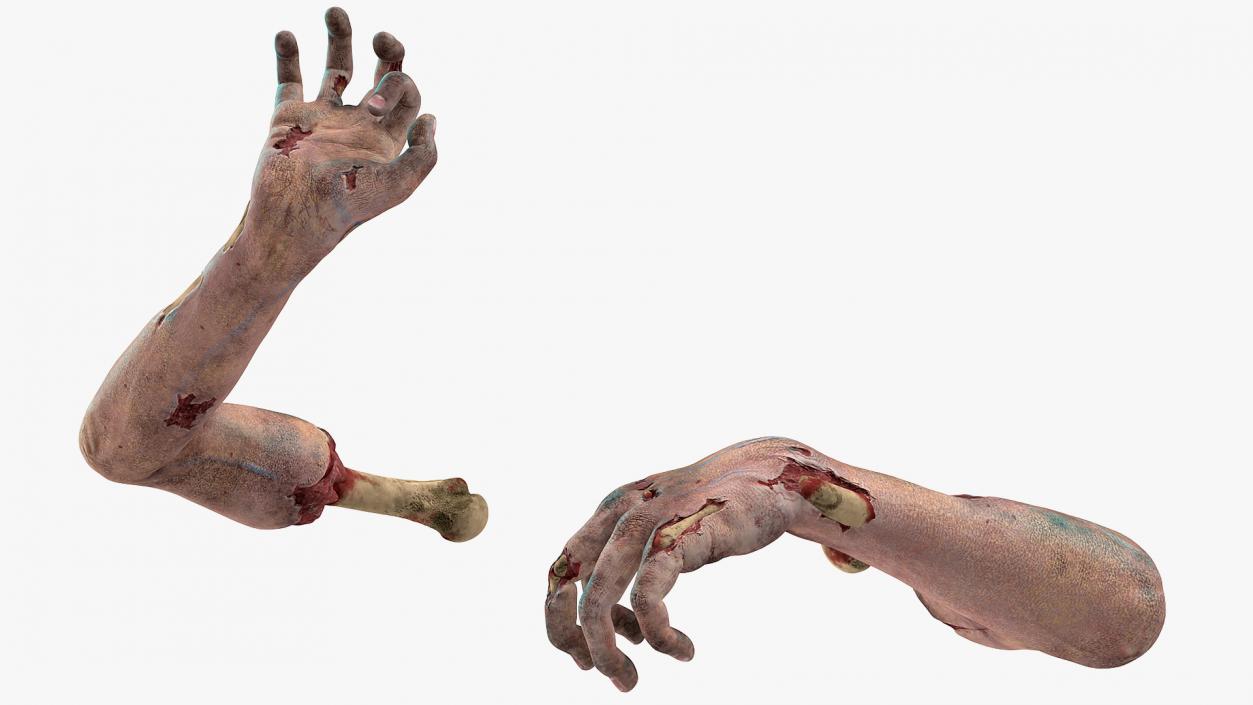 3D model Bloody Zombie Arms Rigged