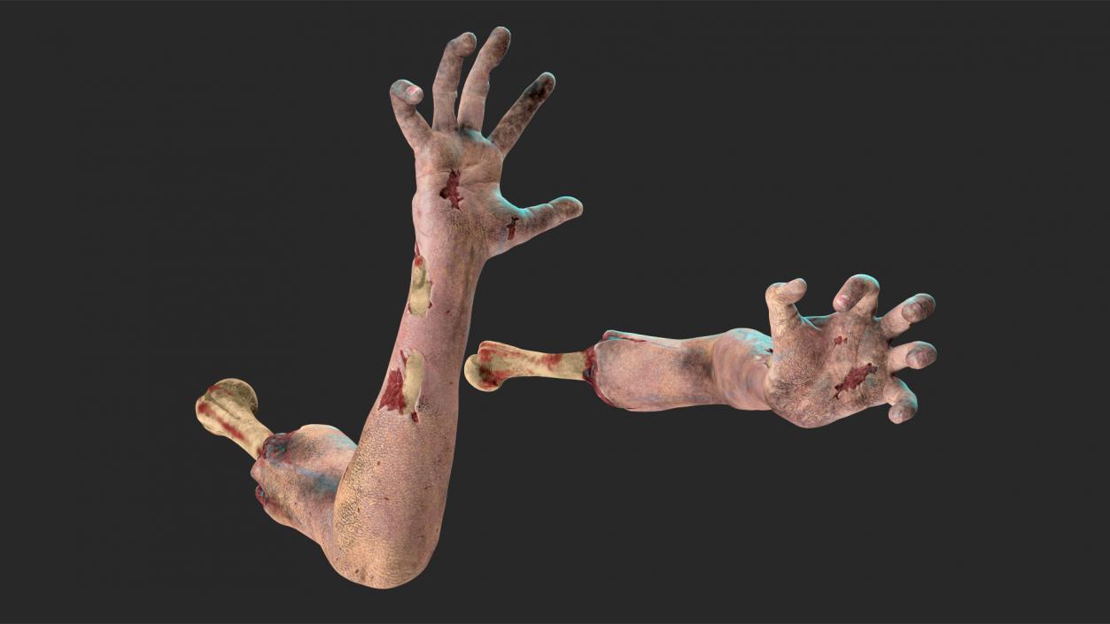 3D model Bloody Zombie Arms Rigged