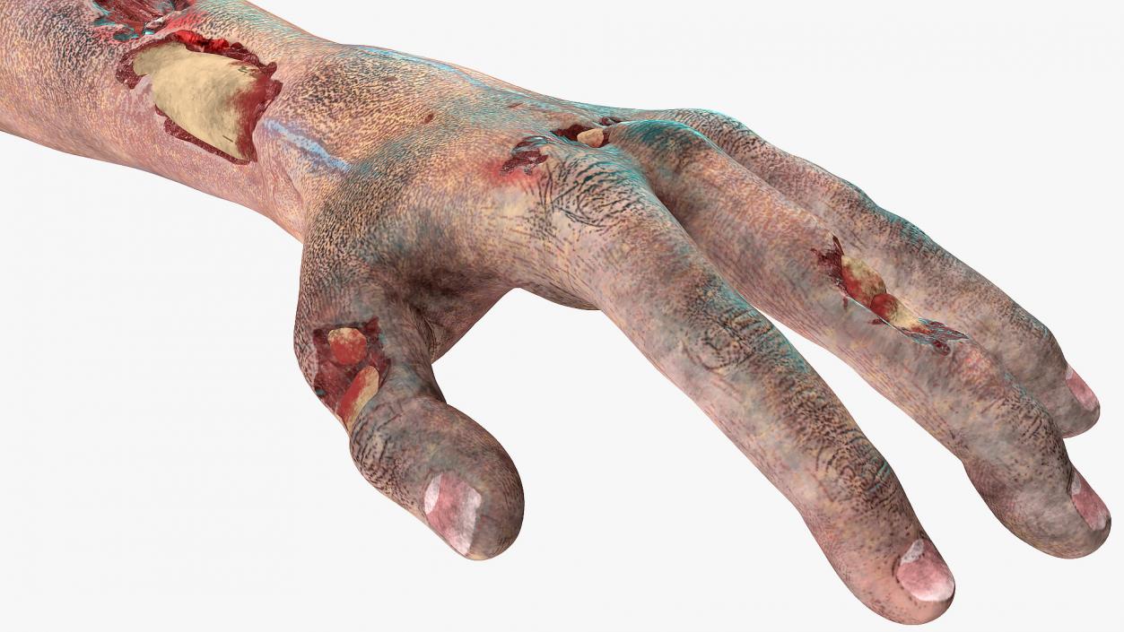 3D model Bloody Zombie Arms Rigged