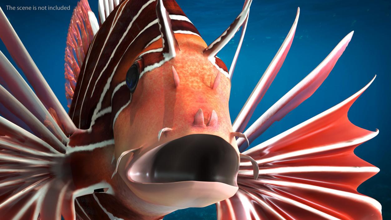 Clearfin Lionfish Rigged 3D model