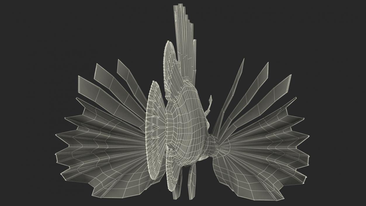 3D Clearfin Lionfish Rigged for Modo model