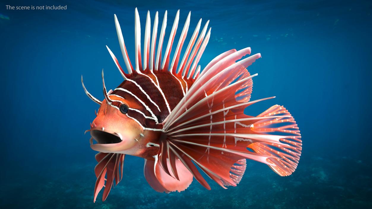 Clearfin Lionfish Rigged 3D model