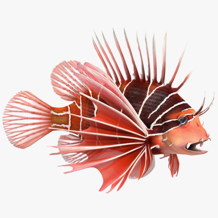 3D Clearfin Lionfish Rigged for Cinema 4D model