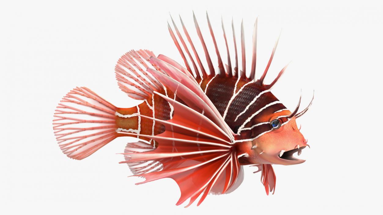 3D Clearfin Lionfish Rigged for Cinema 4D model