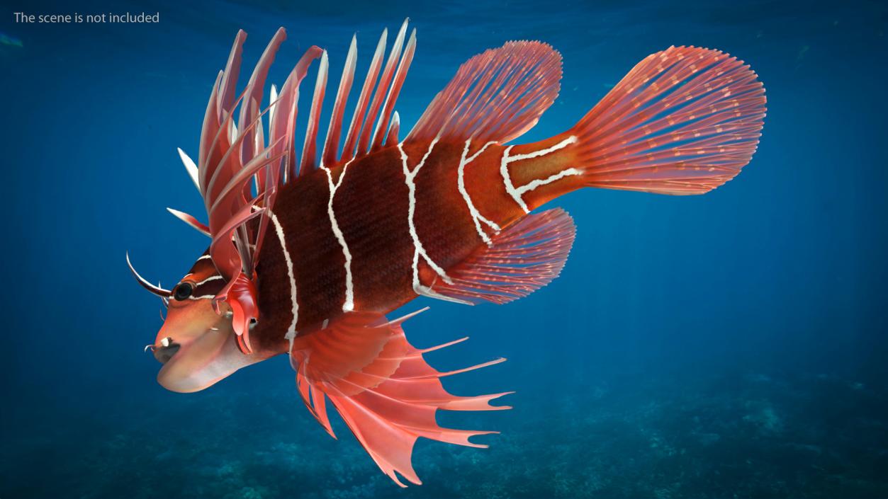 Clearfin Lionfish Rigged 3D model