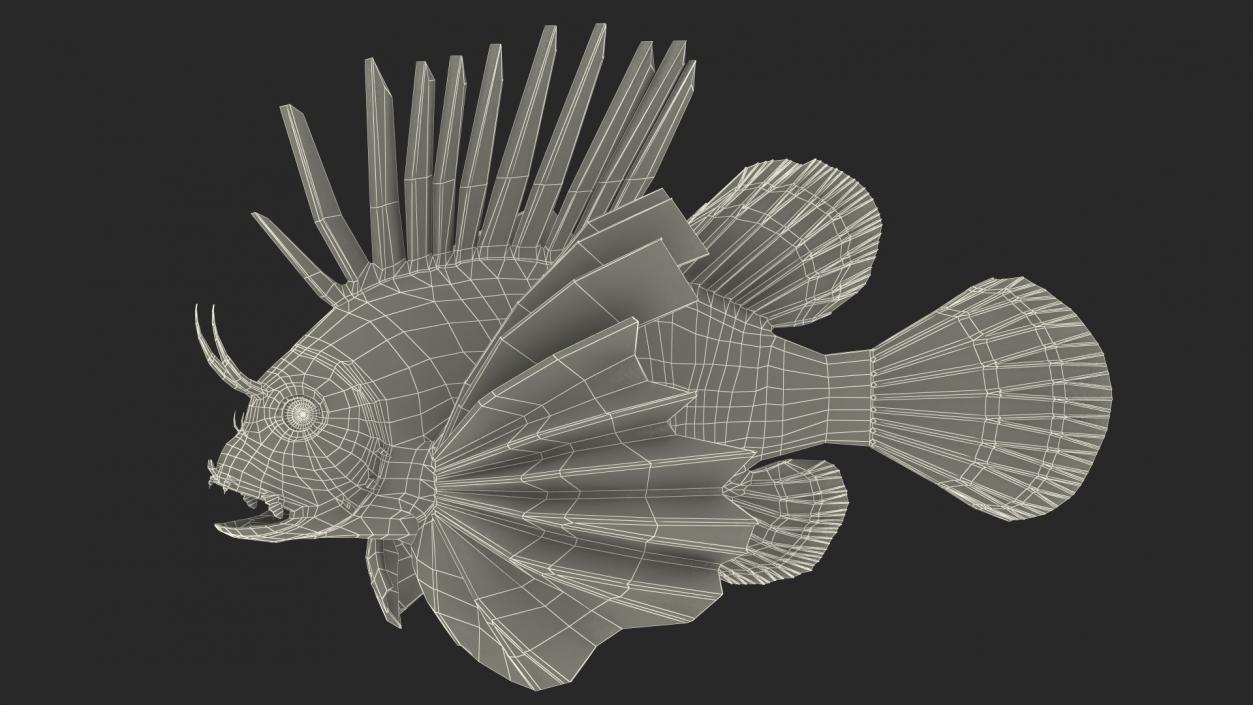 3D Clearfin Lionfish Rigged for Modo model