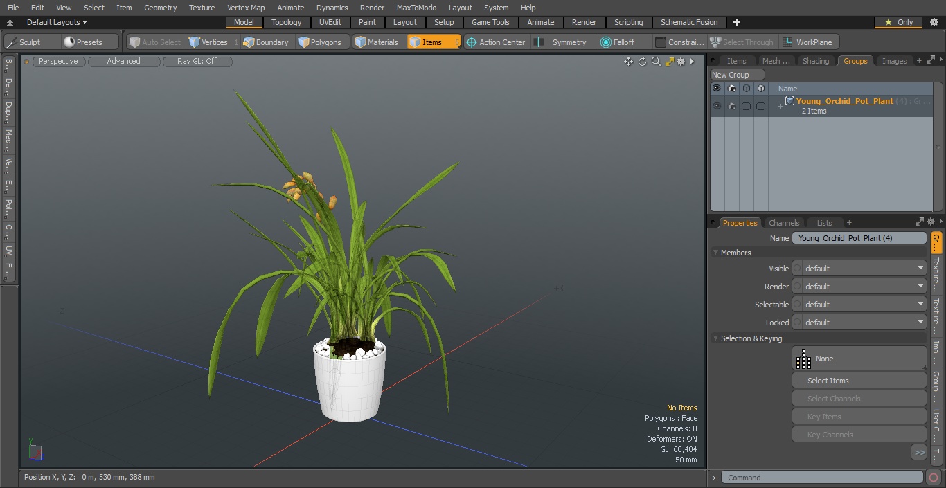 Young Orchid Pot Plant 3D