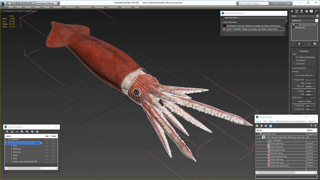 3D Arrow Squid Doryteuthis Plei model