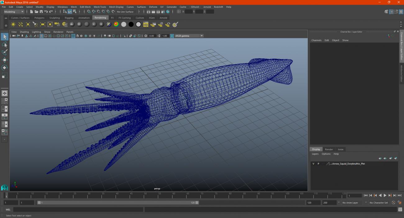 3D Arrow Squid Doryteuthis Plei model