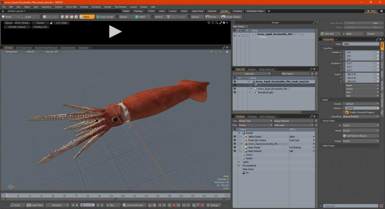 3D Arrow Squid Doryteuthis Plei model